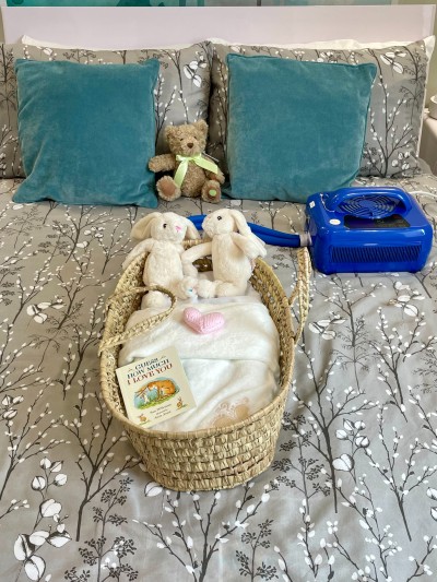 Cuddle cot with Moses Basket on bed