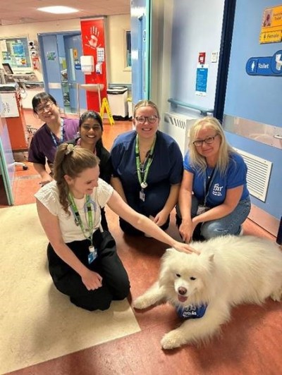 dog being petted by people on a hospital ward
