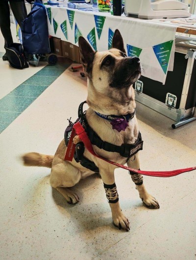 DESP Event Darlington - Skye dog and Louise.jpg